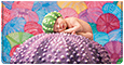 Anne Geddes Under the Sea Checkbook Cover